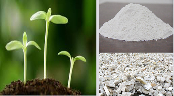 2.1fertilizer use gypsum powder.jpg